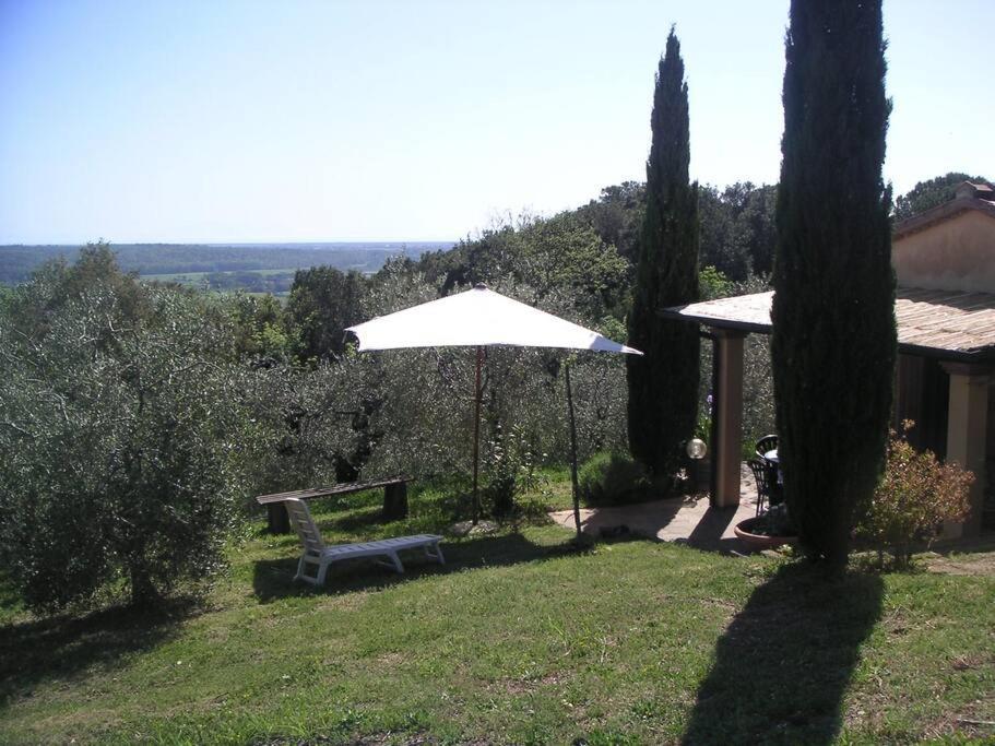 Casa Belvedere -Tranquillita Tra Bosco E Ulivi- Riparbella Exterior photo