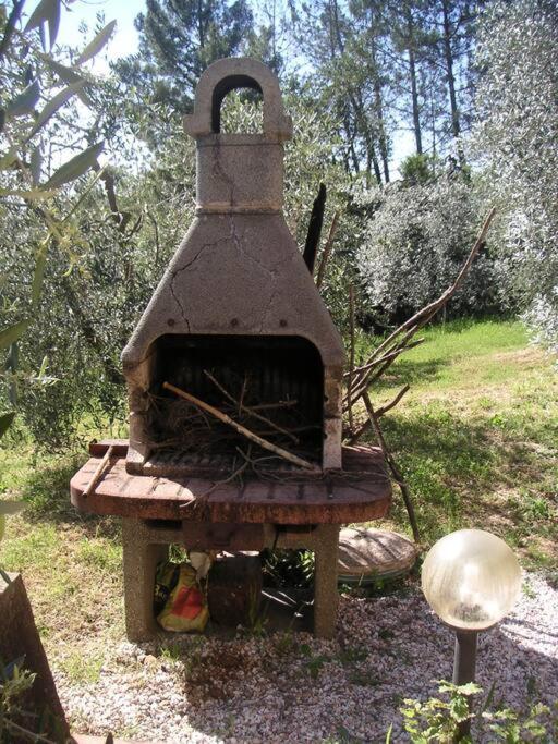 Casa Belvedere -Tranquillita Tra Bosco E Ulivi- Riparbella Exterior photo