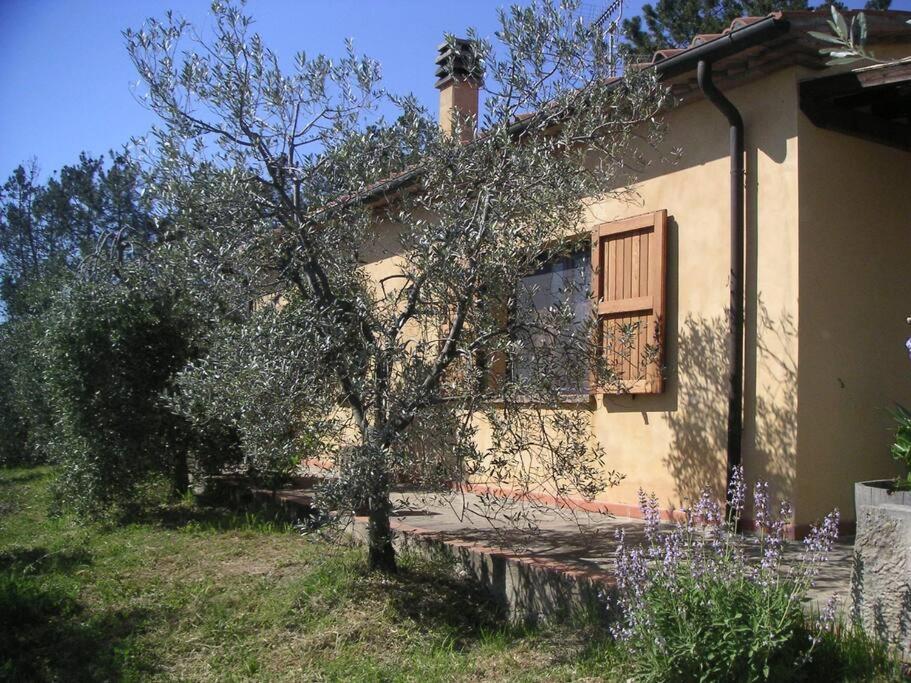 Casa Belvedere -Tranquillita Tra Bosco E Ulivi- Riparbella Exterior photo